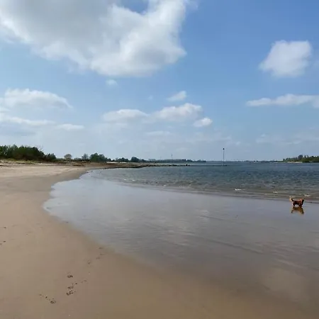 In De Oude Smederij Zaltbommel